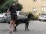 Canis Meus Par Excellence