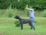 Canis Meus Par Excellence
